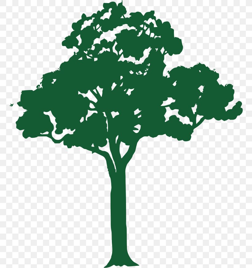 Branch Tree Vector Graphics Clip Art Royalty-free, PNG, 760x872px, Branch, Arbor Day, Botany, Christmas Tree, Drawing Download Free
