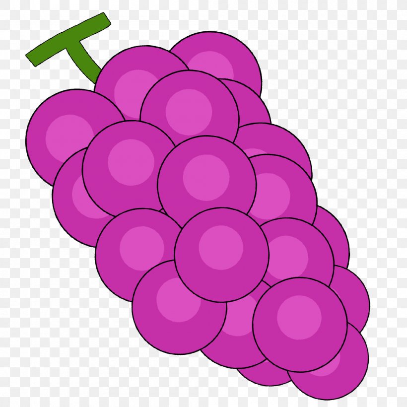 Grape Illustration Clip Art Muscat Image, PNG, 1000x1000px, Grape, Dictionary, Flower, Flowering Plant, Food Download Free