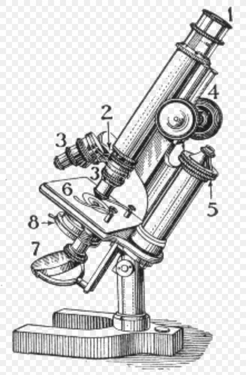 Light Optical Microscope Biology Micrograph, PNG, 860x1311px, Light, Artwork, Biology, Black And White, Cell Download Free