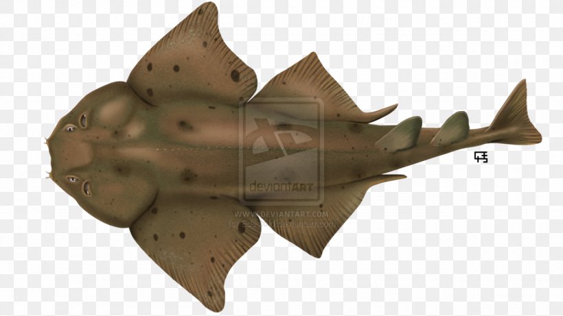 Pacific Angelshark Wobbegong Pennsylvania Leaf, PNG, 1280x720px, Shark, Angelshark, Batoids, Deviantart, Evolution Download Free