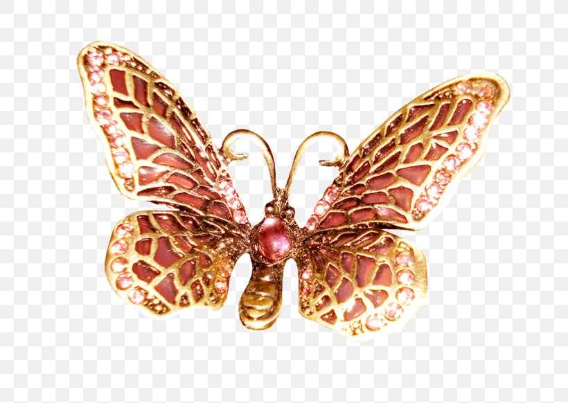 Brooch Moth Body Jewellery Human Body, PNG, 699x582px, Brooch, Body Jewellery, Butterfly, Ear, Fashion Accessory Download Free