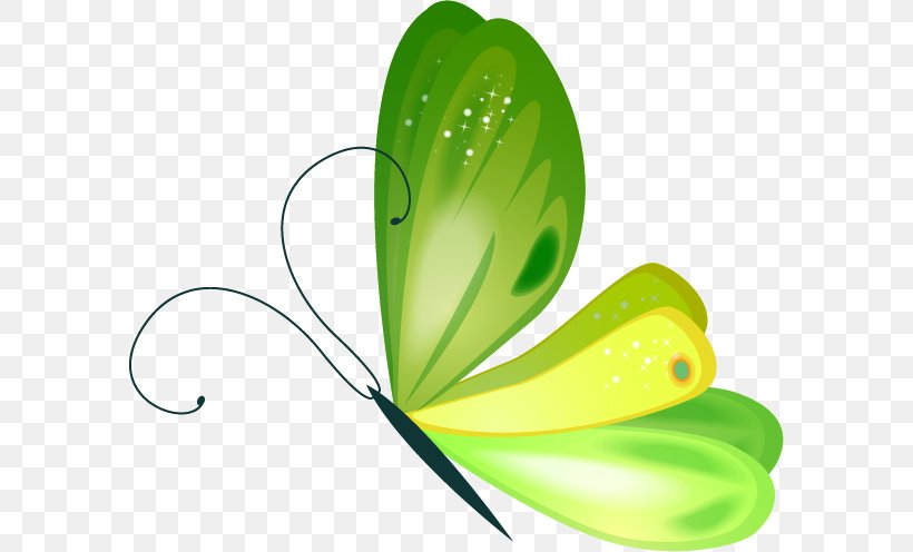 Butterfly Image Clip Art Illustration, PNG, 588x496px, Butterfly, Animation, Botany, Cartoon, Flower Download Free
