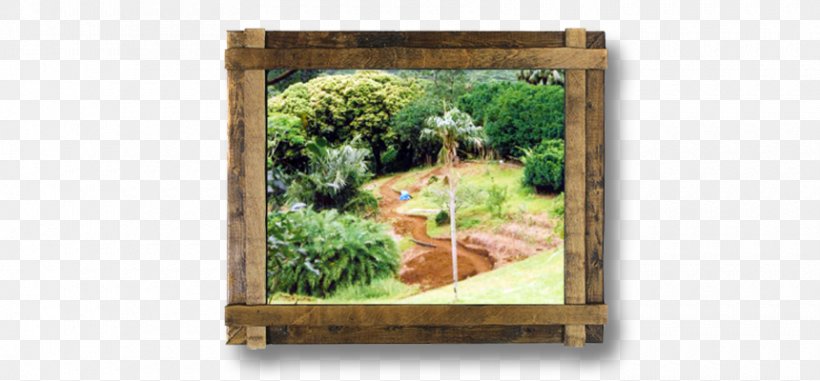 Colchester Gardening Wood Picture Frames /m/083vt, PNG, 860x400px, Colchester, Gardening, Grass, Green, Lawn Download Free