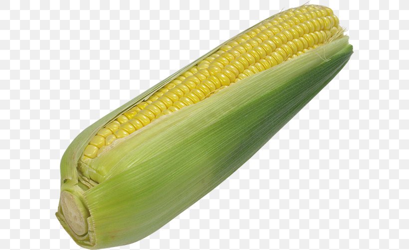 Corn On The Cob Popcorn Maize Corn Kernel, PNG, 600x502px, Corn On The Cob, Cereal, Commodity, Corn Kernel, Corn Kernels Download Free