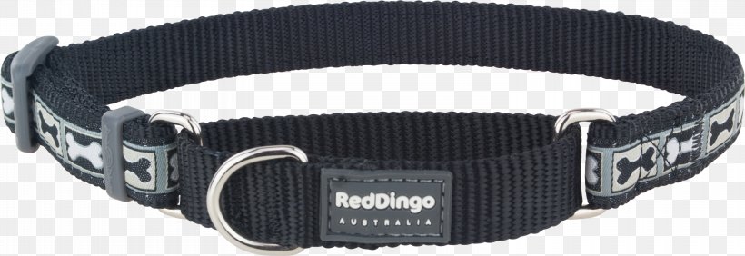 Dog Collar Dingo Martingale, PNG, 3000x1034px, Dog, Cat, Chaine, Collar, Dingo Download Free