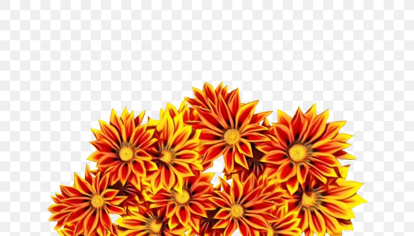 Flowers Background, PNG, 640x468px, Chrysanthemum, Aster, Cut Flowers, Dahlia, Daisy Family Download Free