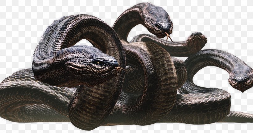 Rattlesnake Dragon's Dogma: Dark Arisen Echidna, PNG, 1200x630px, Snake, California Kingsnake, Coral Reef Snakes, Dragon, Echidna Download Free