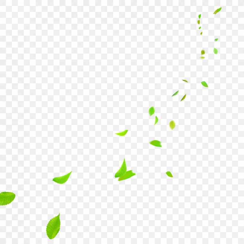 Clip Art, PNG, 1134x1134px, Computer Graphics, Area, Grass, Green, Point Download Free