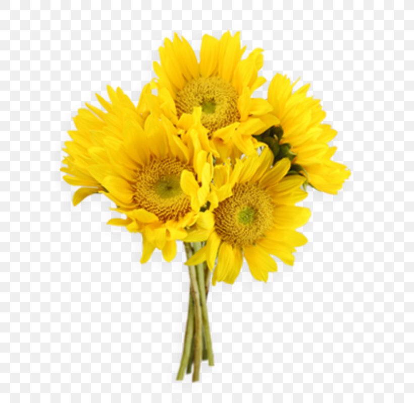 Flower Bouquet Clip Art, PNG, 603x800px, Flower Bouquet, Chrysanths, Common Sunflower, Cut Flowers, Daisy Family Download Free