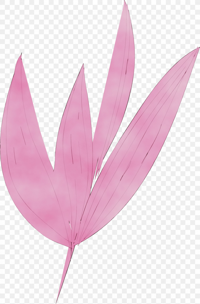 Leaf Pink M Plant Structure Science Biology, PNG, 2346x3557px, Simple Leaf, Biology, Leaf, Paint, Pink M Download Free