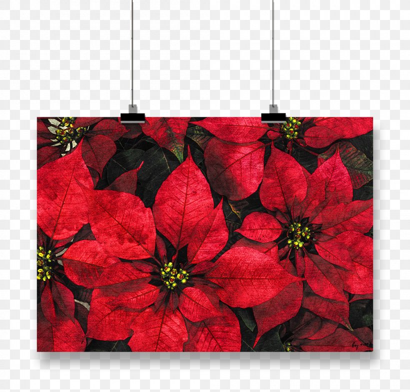 Paper Poinsettia Christmas Card Poster, PNG, 1000x958px, Paper, Christmas, Christmas Card, Christmas Decoration, Christmas Ornament Download Free