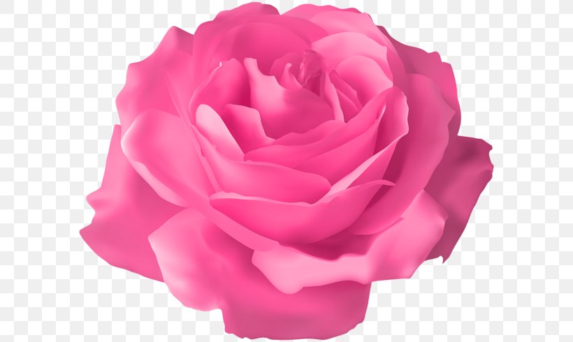 Rose Flower Clip Art, PNG, 600x490px, Rose, Blue, Blue Rose, China Rose, Cut Flowers Download Free