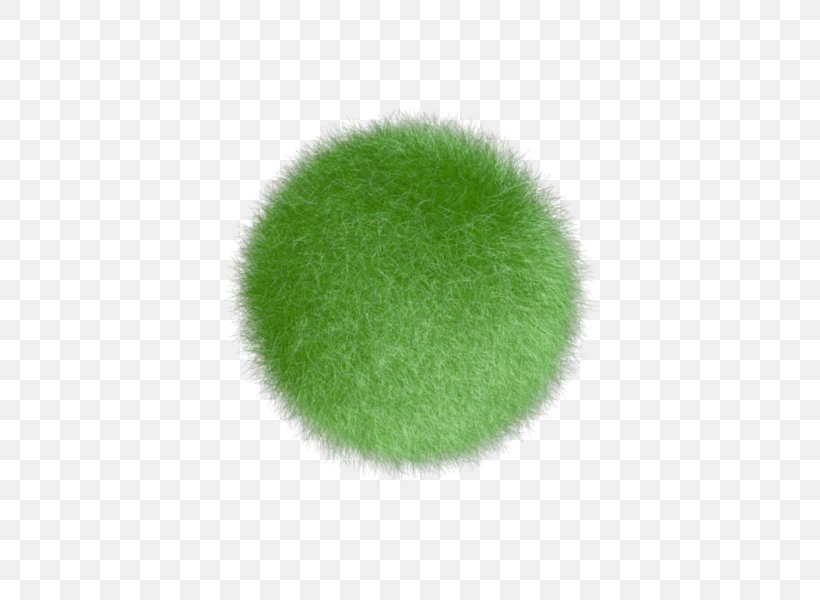 Green, PNG, 600x600px, Green, Grass Download Free