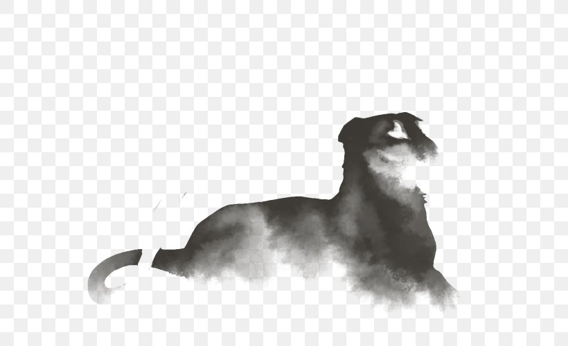Italian Greyhound Scottish Deerhound Puppy, PNG, 640x500px, Italian Greyhound, Black And White, Breed, Carnivoran, Cat Like Mammal Download Free