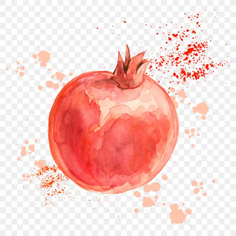 Pomegranate Drawing Fruit Illustration, PNG, 1000x1000px, Pomegranate, Apple, Drawing, Food, Fruit Download Free