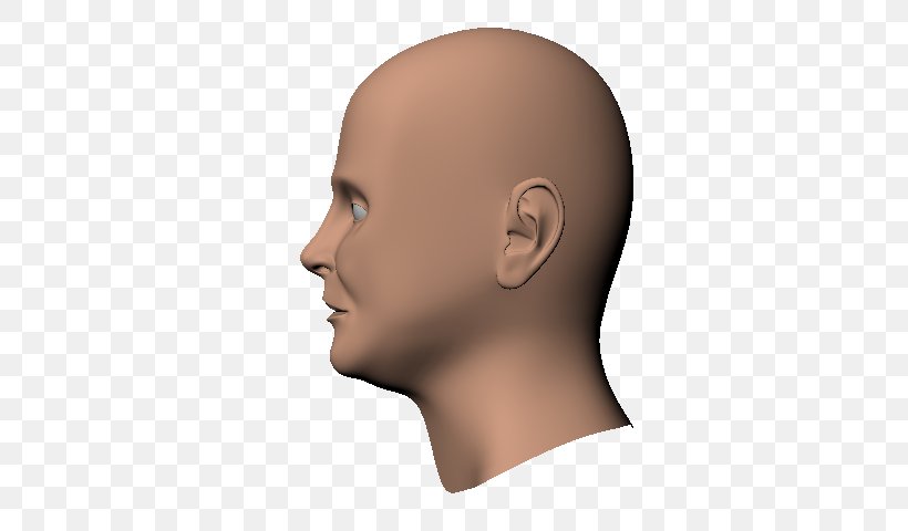 Chin Human Head Cheek Nose, PNG, 640x480px, Chin, Art, Cheek, Ear, Eyebrow Download Free