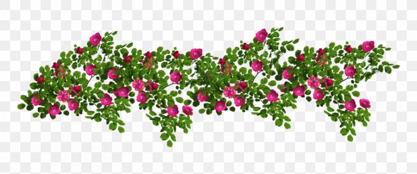 Flower Clip Art, PNG, 886x371px, Flower, Cut Flowers, Flora, Floral Design, Floristry Download Free