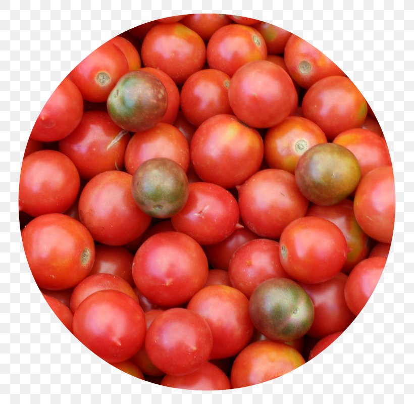 Plum Tomato Bush Tomato Vegetarian Cuisine Food, PNG, 800x800px, Plum Tomato, Bush Tomato, Cranberry, Food, Fruit Download Free