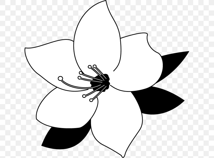 Rhododendron Illustration Design Line Art Clip Art, PNG, 632x607px, Rhododendron, Area, Artwork, Black, Black And White Download Free