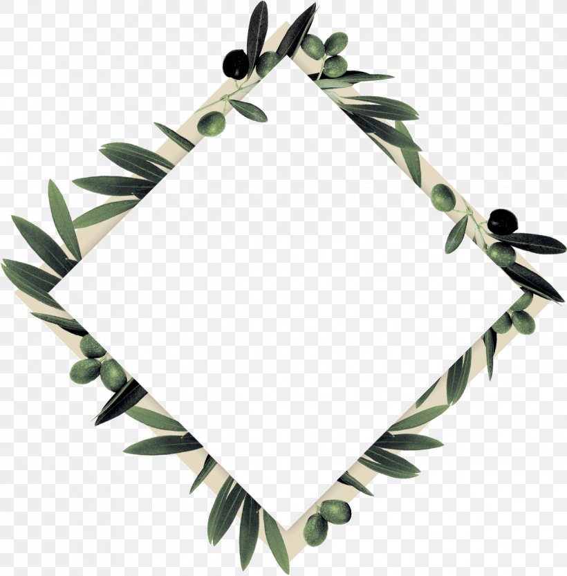 Twig Olive Branch Leaf, PNG, 1222x1242px, Twig, Abstract, Branch, Leaf, Logo Download Free