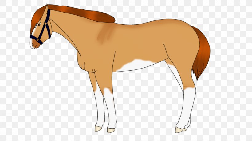 Foal Mane Mare Stallion Colt, PNG, 900x507px, Foal, Animal Figure, Bridle, Cartoon, Colt Download Free