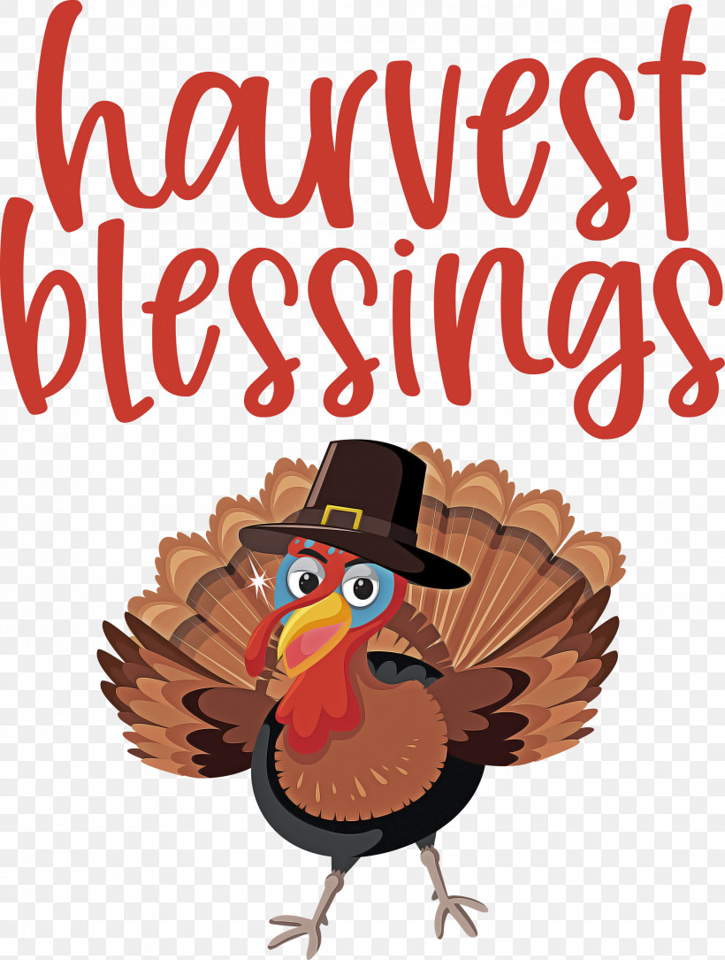 HARVEST BLESSINGS Harvest Thanksgiving, PNG, 2267x3000px, Harvest Blessings, Autumn, Beak, Cartoon, Chicken Download Free