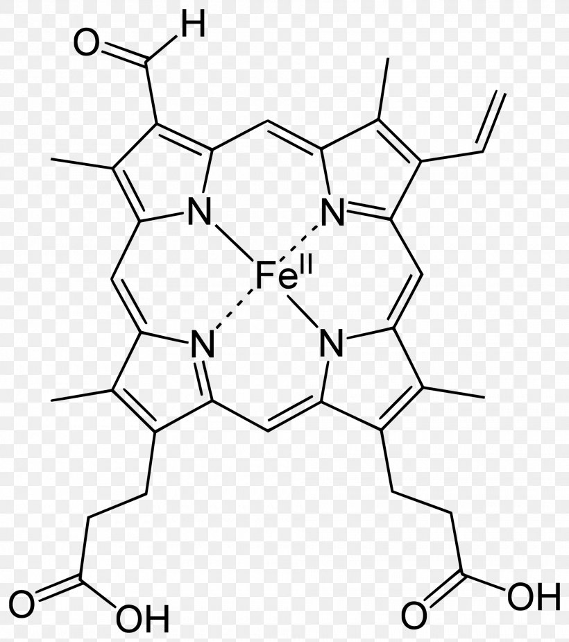 Heme Chlorocruorin Porphyrin Hemoglobin, PNG, 1920x2168px, Heme, Area, Atom, Black, Black And White Download Free