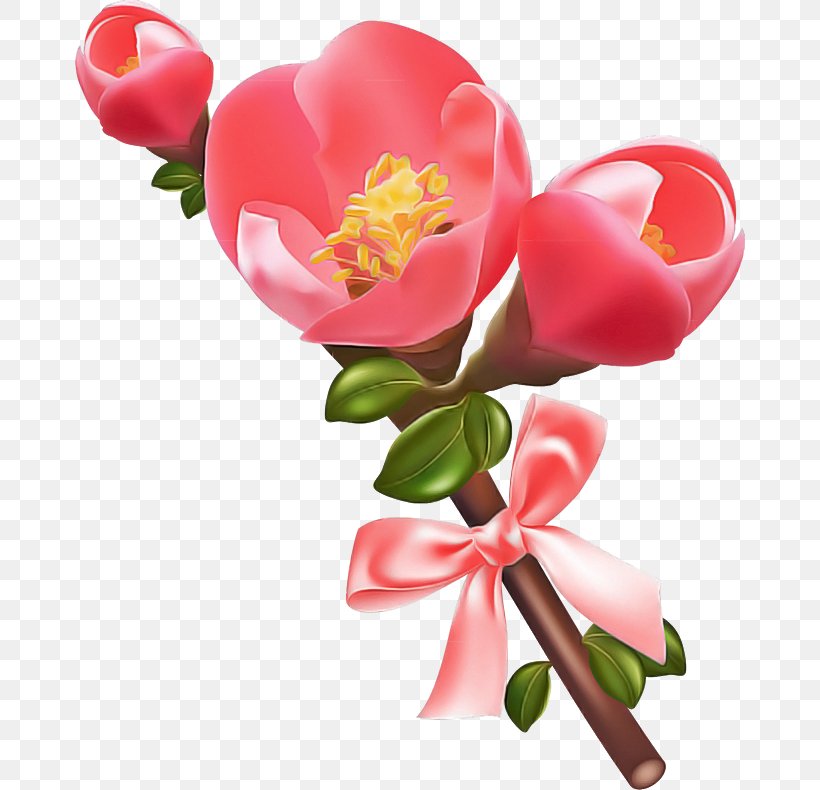Pink Flower Petal Plant Heart, PNG, 670x790px, Pink, Branch, Cut Flowers, Flower, Heart Download Free