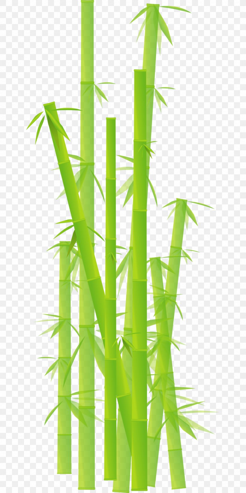 Bamboo Desktop Wallpaper Clip Art, PNG, 960x1920px, Bamboo, Grass, Grass Family, Grasses, Hemp Download Free