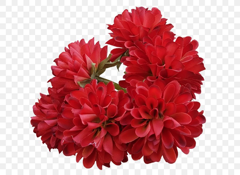 Carnation Cut Flowers Floral Design Flower Bouquet, PNG, 800x600px, Carnation, Annual Plant, Artificial Flower, Chrysanthemum, Chrysanths Download Free