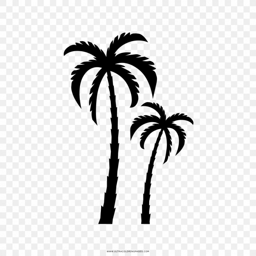 Drawing Coloring Book Arecaceae, PNG, 1000x1000px, Watercolor, Cartoon, Flower, Frame, Heart Download Free