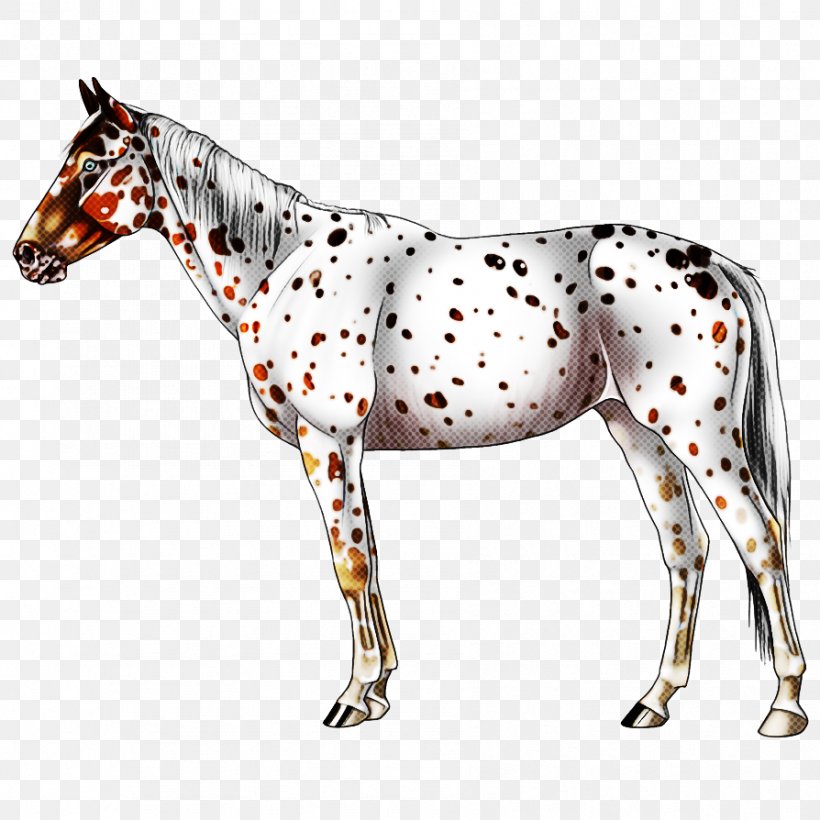 Horse Animal Figure Mare Snout Stallion, PNG, 894x894px, Horse, Animal Figure, Figurine, Mare, Snout Download Free