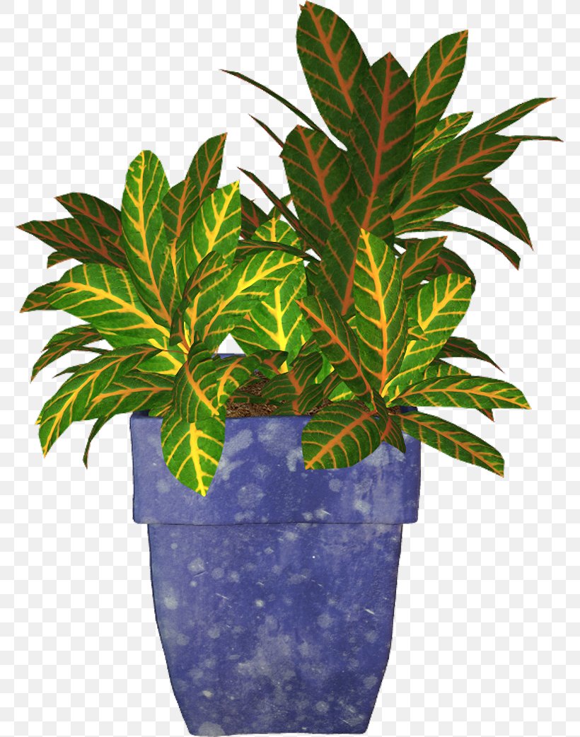 Photography Plant Flowerpot Clip Art, PNG, 777x1042px, Photography, Crock, Data Conversion, Digital Photography, Flower Download Free