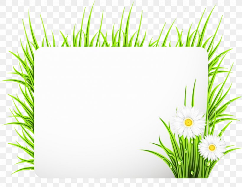 Picture Frame, PNG, 1024x792px, Watercolor, Flower, Grass, Grass Family, Green Download Free