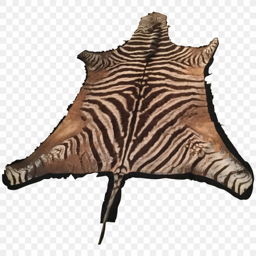 Zebra Horse Fur Carpet Tiger, PNG, 1200x1200px, Zebra, Animal Print, Big Cats, Carnivoran, Carpet Download Free
