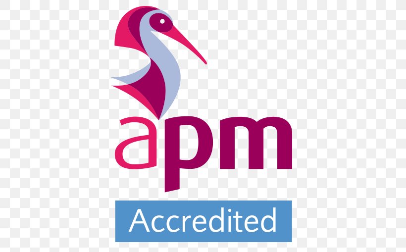Association For Project Management International Project Management Association Project Manager, PNG, 600x509px, Association For Project Management, Beak, Brand, Business, Consultant Download Free