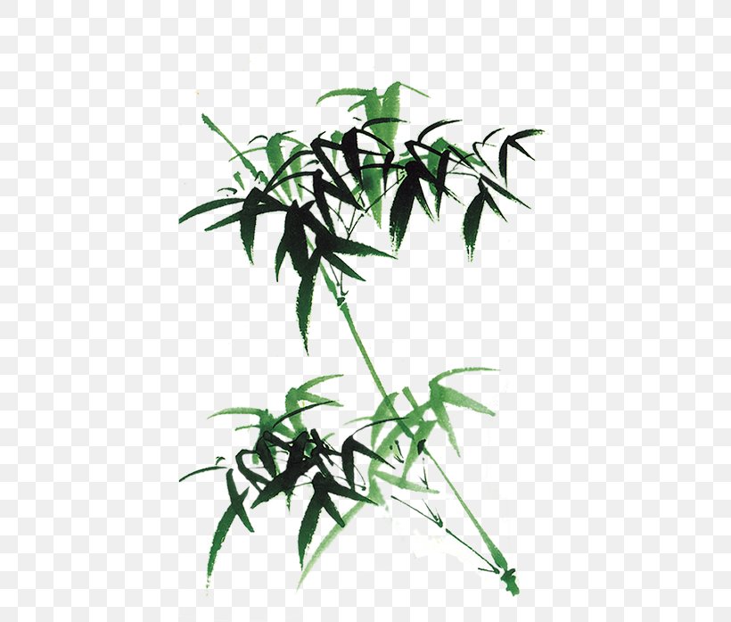 Bamboo Template, PNG, 700x697px, Bamboo, Branch, Chinese New Year, Coreldraw, Flora Download Free
