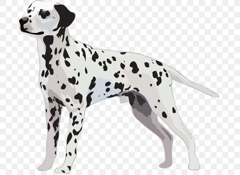 Dalmatian Dog Greeting & Note Cards Puppy Tote Bag, PNG, 700x599px, Dalmatian Dog, Animal Figure, Bag, Birthday, Cafepress Download Free