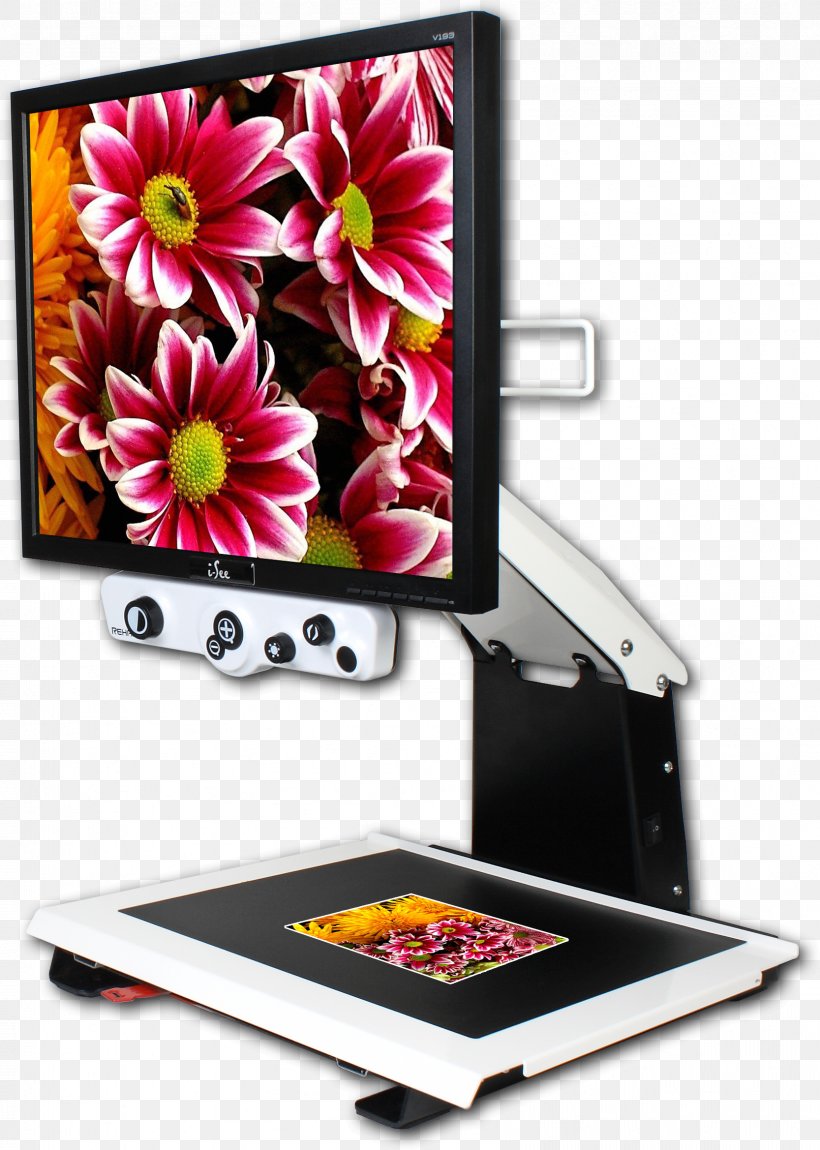 Display Device Computer Monitors Video Magnifier Information Magnification, PNG, 1667x2338px, Display Device, Computer Monitors, Desktop Computers, Electronics, Flower Download Free