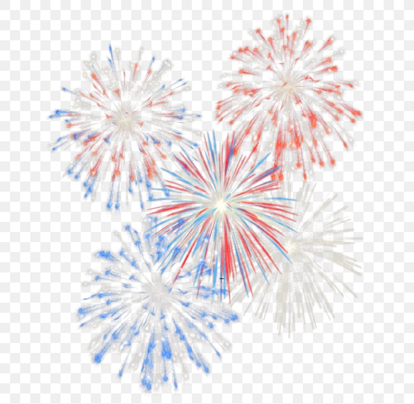 Fireworks Independence Day Clip Art, PNG, 665x801px, United States, Animation, Event, Fireworks, Guy Fawkes Night Download Free
