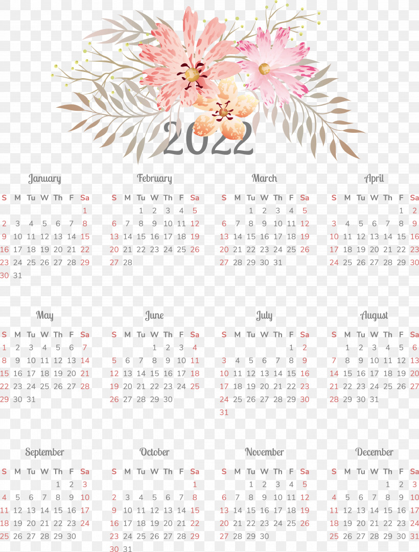Flower Calendar Font 2011 Plant, PNG, 5216x6881px, Flower, Biology, Calendar, Plant, Science Download Free