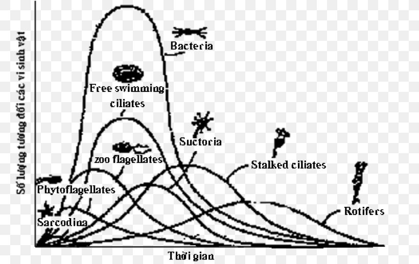 Microorganism Instalasi Pengolahan Air Limbah Biology Wastewater Biochemical Oxygen Demand, PNG, 782x517px, Microorganism, Aerobic Organism, Biochemical Oxygen Demand, Biology, Blackandwhite Download Free