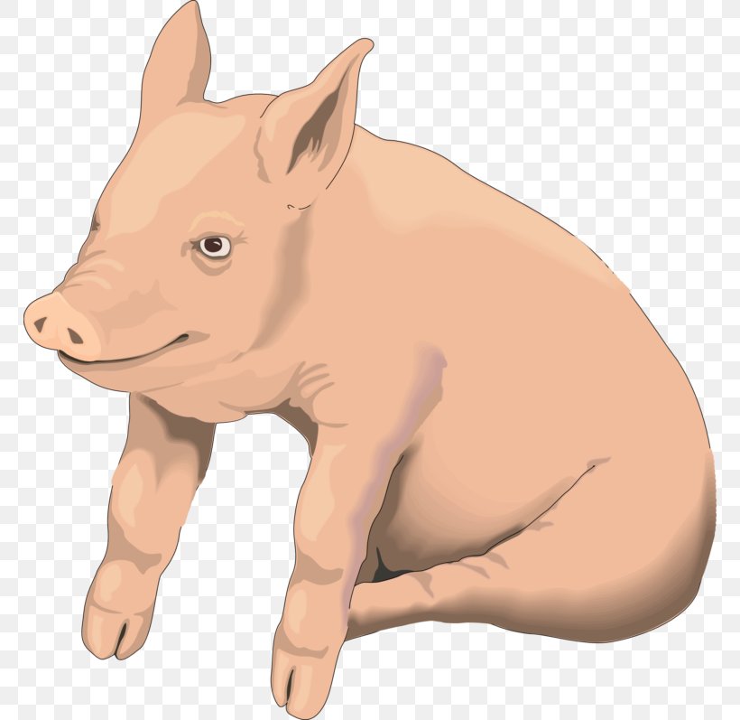 Pig Clip Art Openclipart Transparency, PNG, 768x797px, Pig, Animal Figure, Art, Boar, Cartoon Download Free
