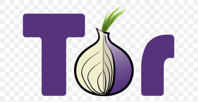 Tor .onion Onion Routing Anonymity Web Browser, PNG, 668x424px, Tor, Anonymity, Anonymous Web Browsing, Dark Web, Flower Download Free