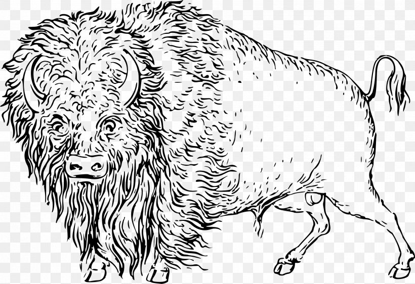Cattle Line Art Drawing Clip Art, PNG, 2499x1713px, Cattle, American Bison, Animal Figure, Artwork, Black And White Download Free
