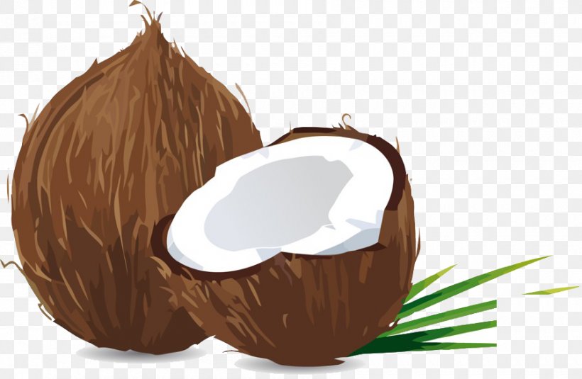 Coconut Material, PNG, 900x588px, Coconut, Chocolate, Coir, Food, Hair Download Free