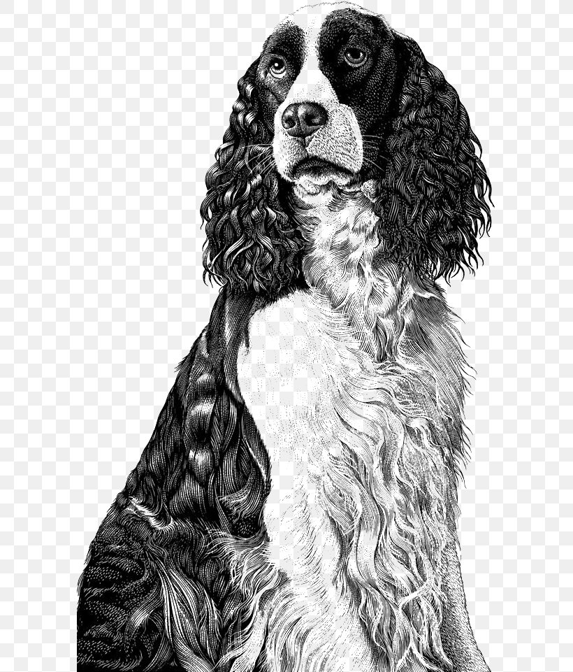 Dog Drawing Scratchboard Illustration, PNG, 600x961px, Dog, Art, Behance, Black And White, Carnivoran Download Free