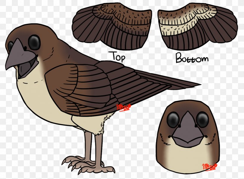 Dove Bird, PNG, 1272x936px, Beak, Bird, Bird Of Prey, Cartoon, Ducks Download Free