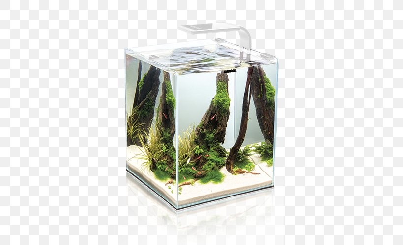 Nano Aquarium Aquael Zoo Shrimp Fishkeeping, PNG, 500x500px, Aquarium, Aquael Zoo, Aquarium Decor, Aquarium Filters, Aquariums Download Free
