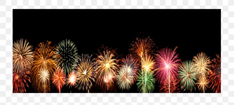Plyler Park Fireworks Myrtle Beach Boardwalk Festival, PNG, 1110x500px, Watercolor, Cartoon, Flower, Frame, Heart Download Free